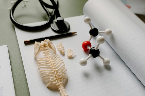 5 mouvements de yoga essentiels pour tonifier les muscles des aînés